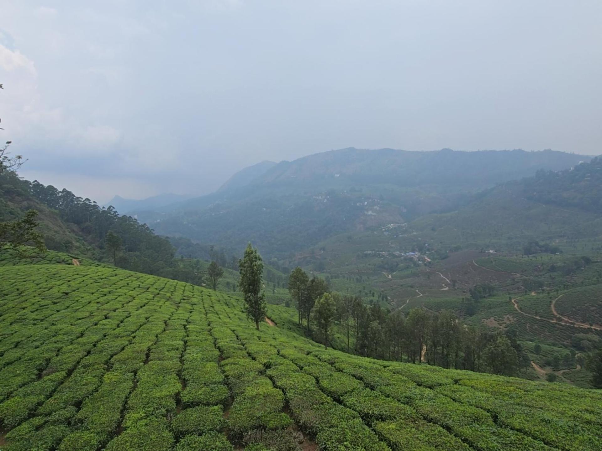 Beauty Spot Munnar Hotel ภายนอก รูปภาพ